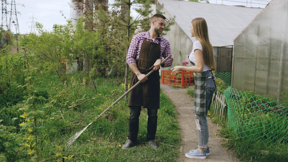 A man and a woman are engaged in a garden maintenance activity within a lush green outdoor space. The man, dressed in a checked shirt, black trousers, and a brown apron, holds a long-handled gardening tool, possibly a rake or a hoes, and appears to be explaining or discussing gardening tasks. The woman, wearing a white t-shirt and distressed jeans with rolled-up cuffs, is holding a small potted plant or flowers, listening attentively. Surrounding them are various garden elements: a pathway running through the garden, a mix of well-maintained grass and slightly overgrown areas with leafy bushes and young trees, and a green mesh fence on the right side. In the background, there is a greenhouse structure with semi-transparent plastic panels, and orange crates stacked against it. The lighting suggests a bright, partly cloudy day, ideal for outdoor gardening activities. This scene illustrates local garden care efforts, showcasing typical tools, plant growth, and the layout of a suburban garden, reflecting the gardening expertise of Gardeners Lambeth.
